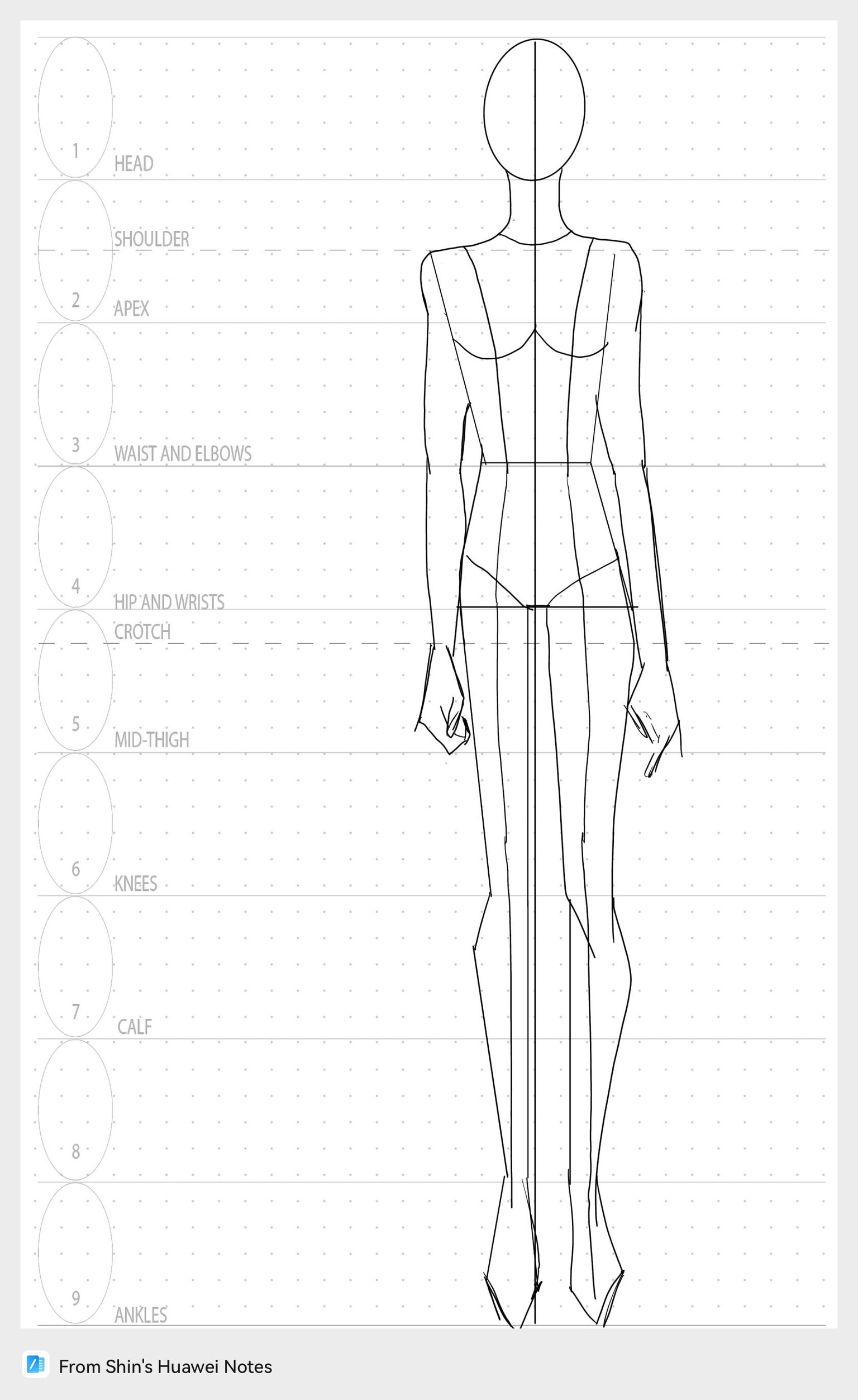 Croquis by Shin - image 1 - student project