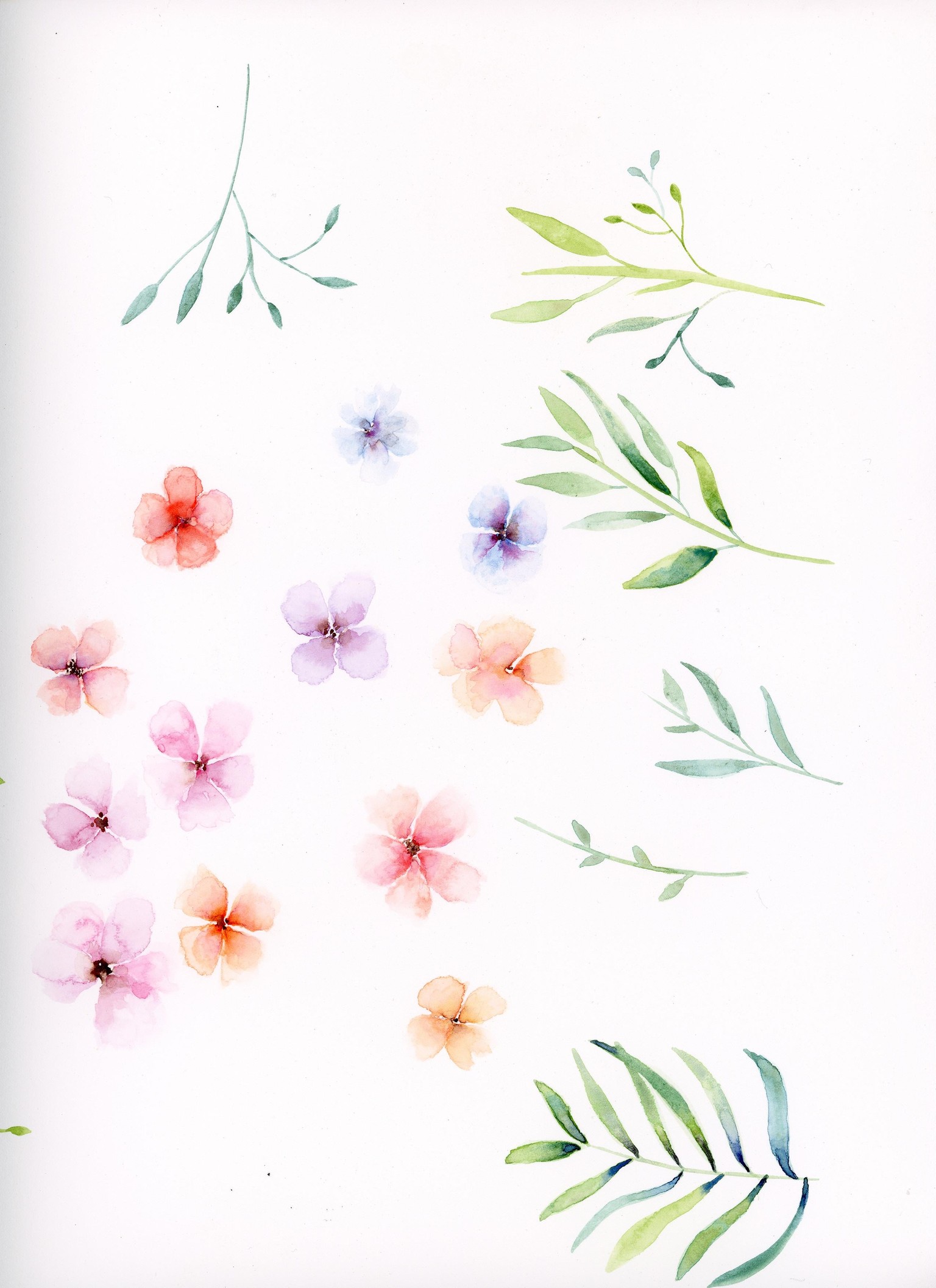 Pink Flowers - image 1 - student project