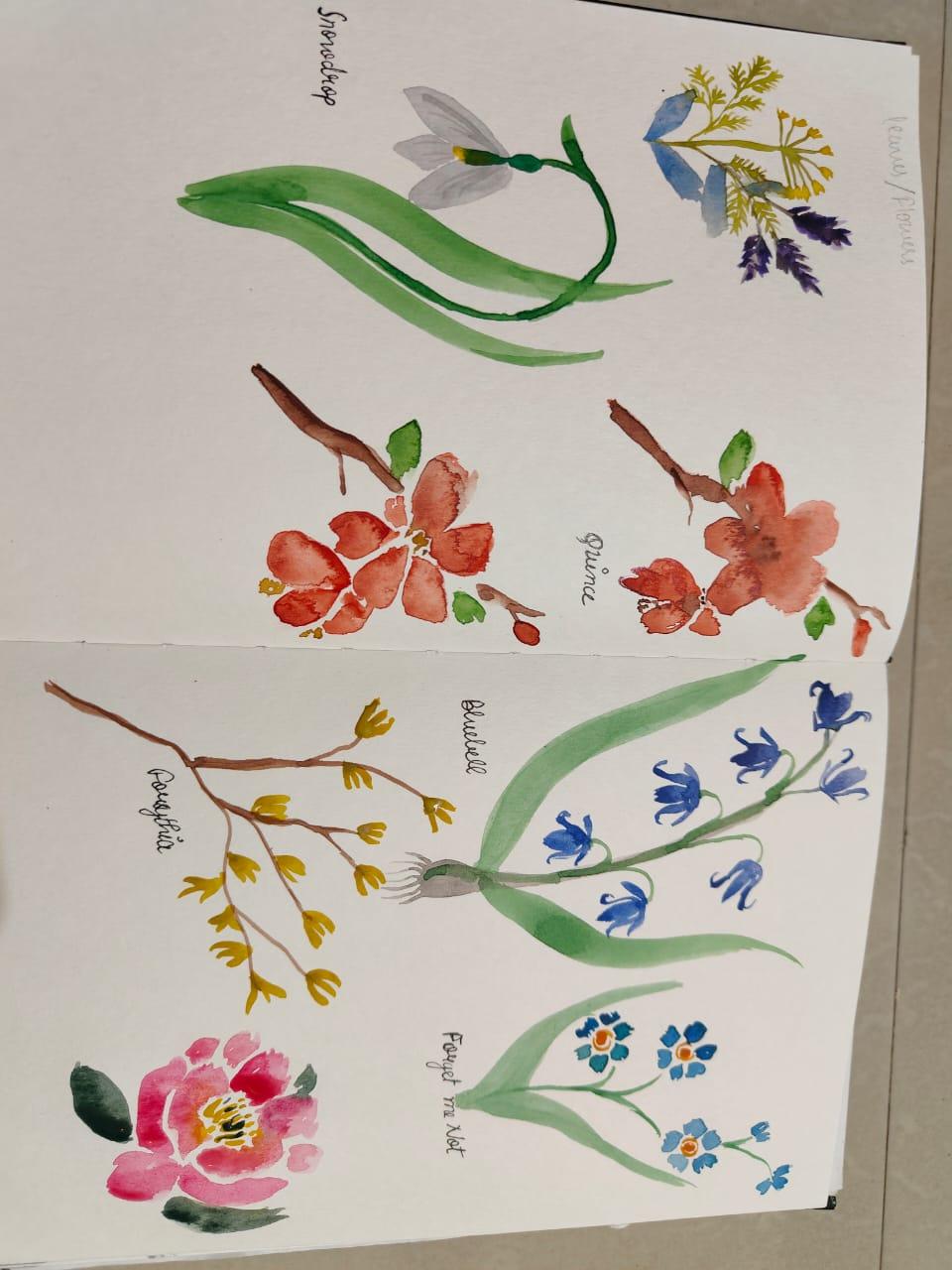 Spring Flowers - image 1 - student project