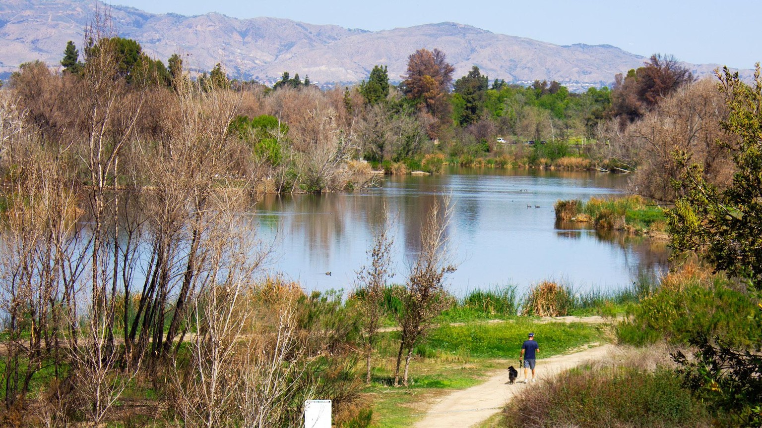 Sepulveda - image 1 - student project