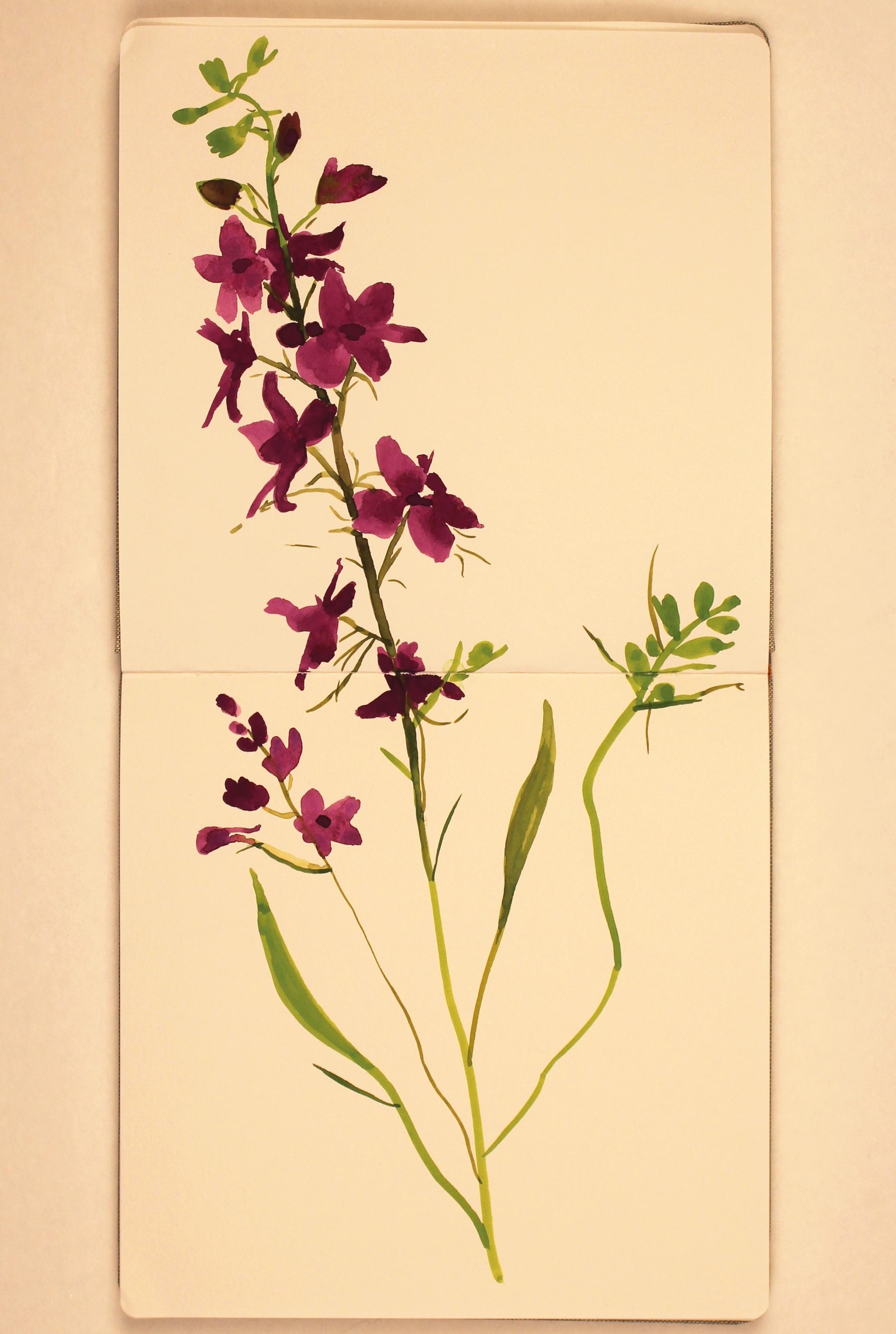 Expressive Florals: Challenge Complete! - image 2 - student project