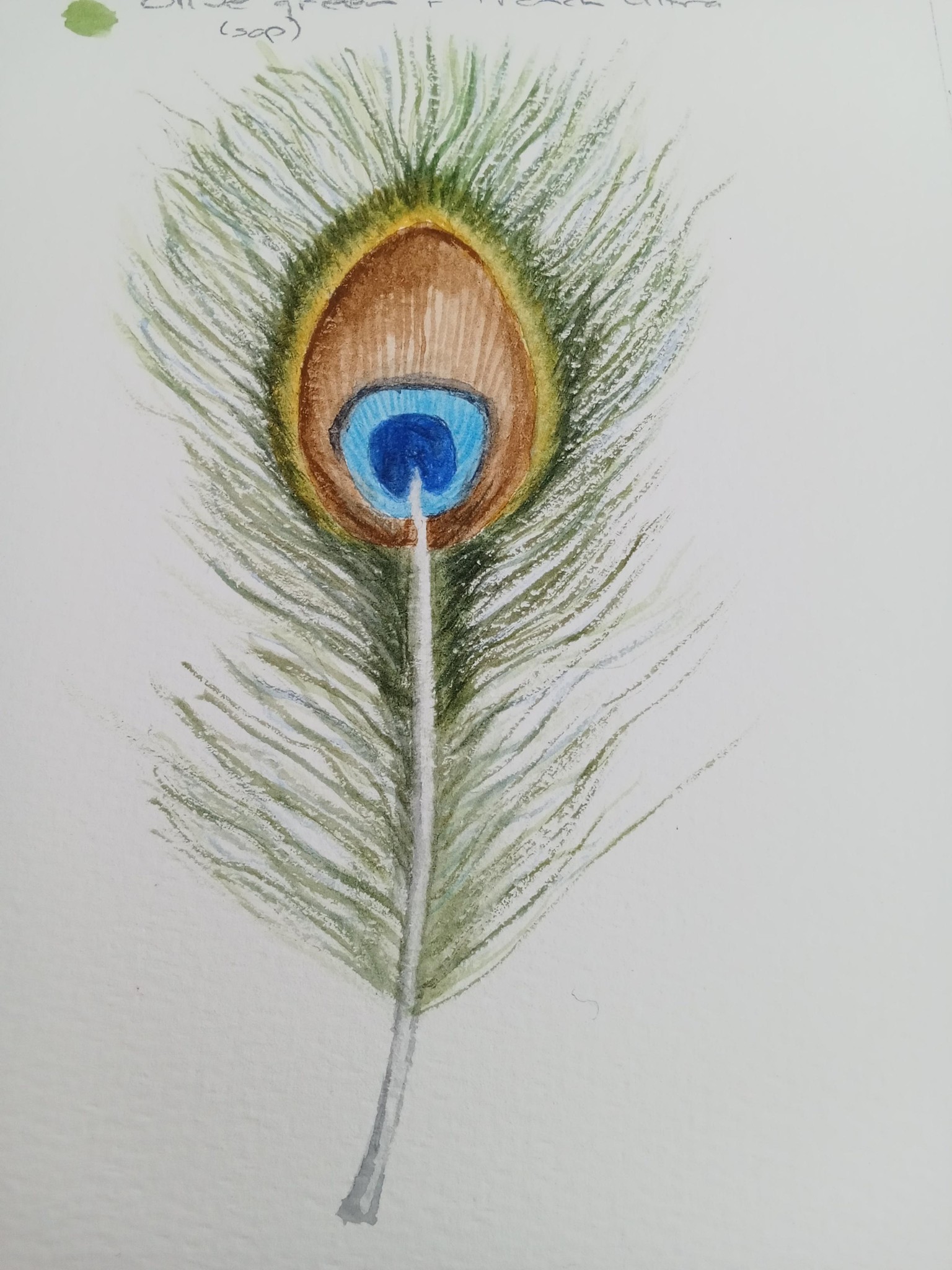 Feather - image 1 - student project