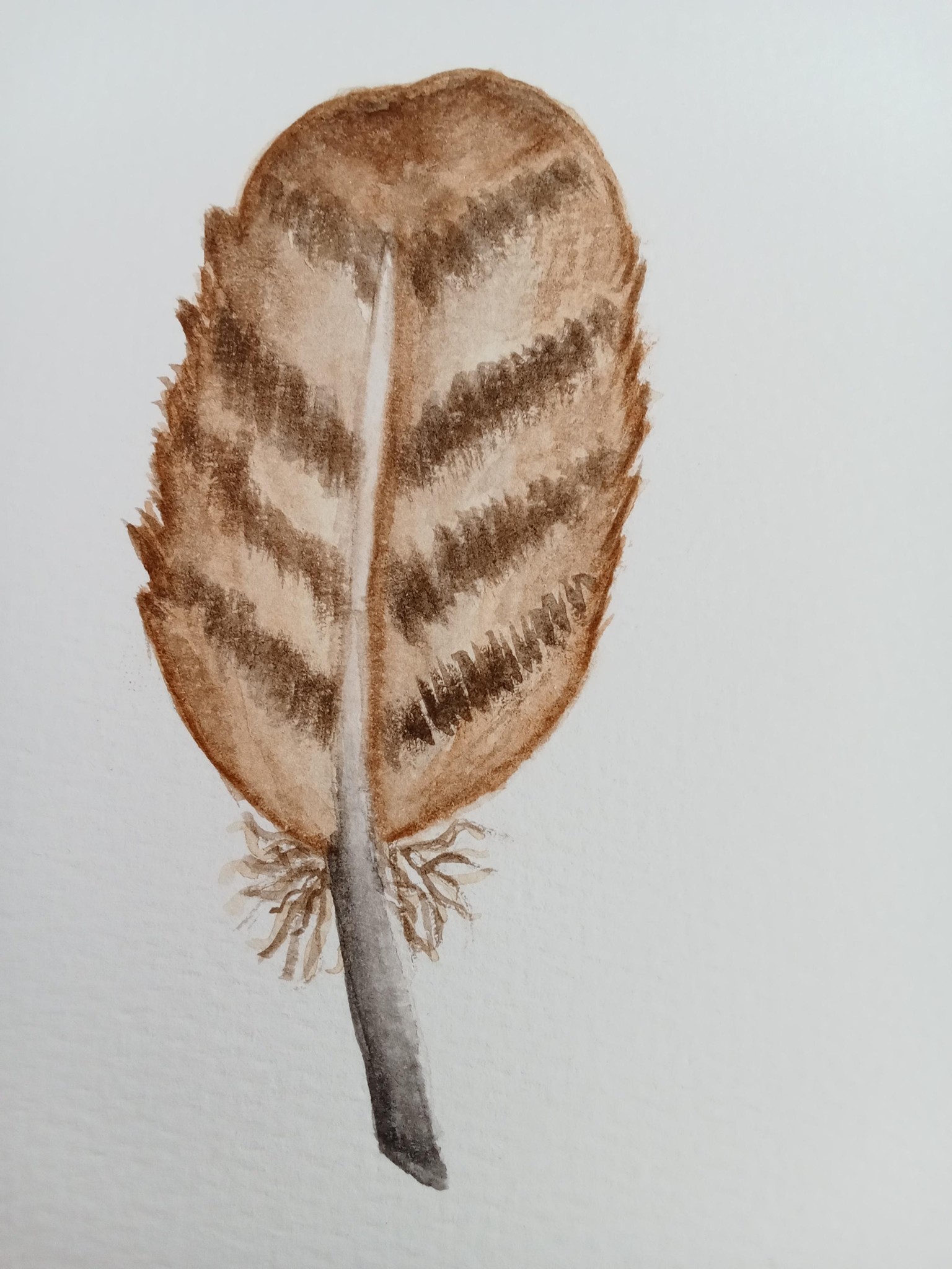 Feather - image 3 - student project