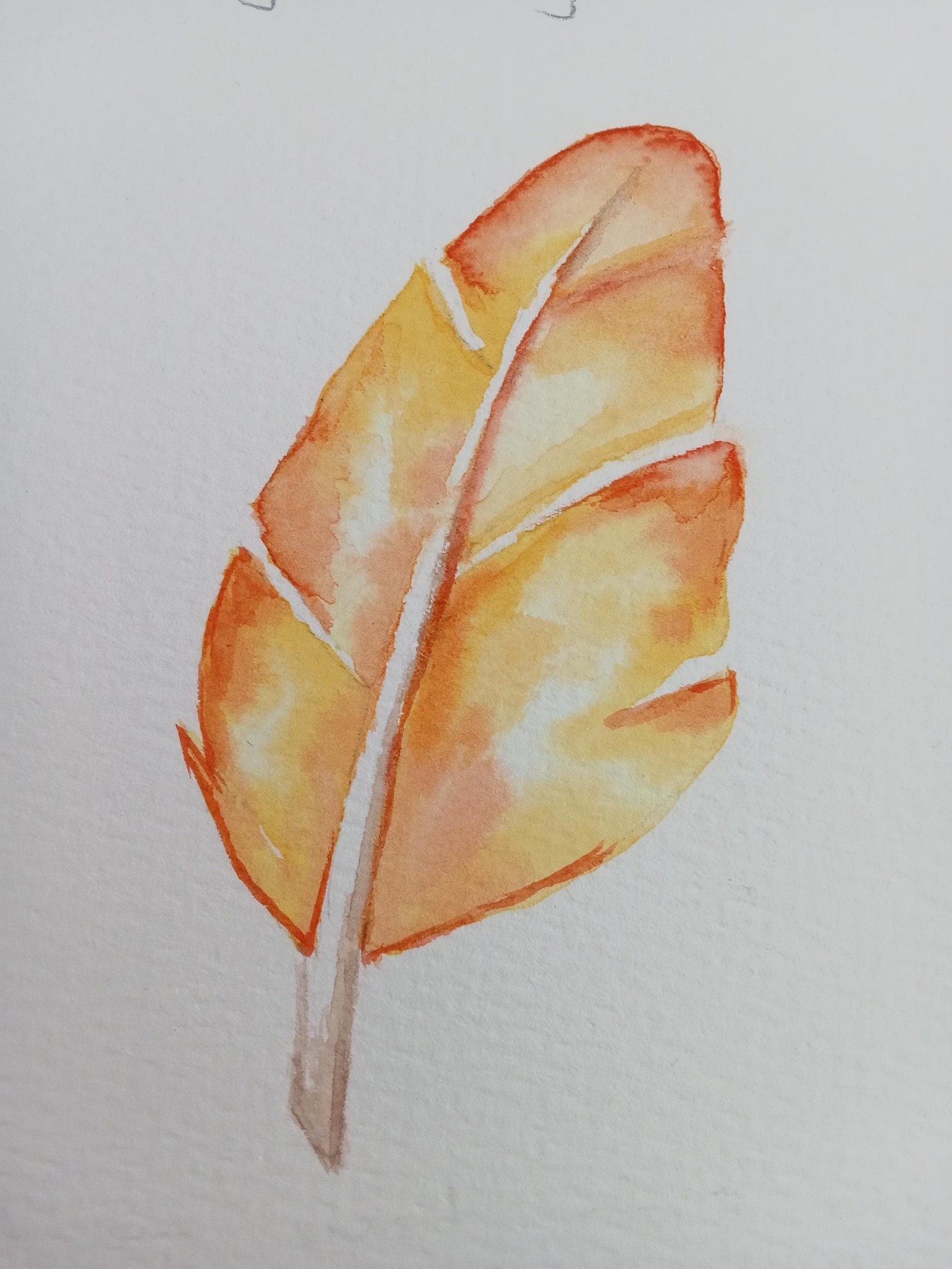 Feather - image 2 - student project