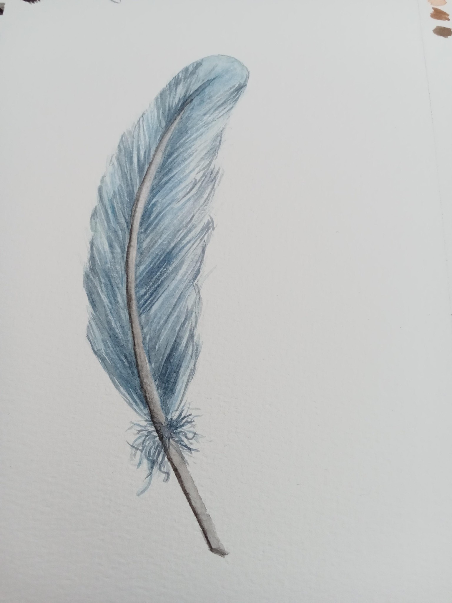 Feather - image 4 - student project