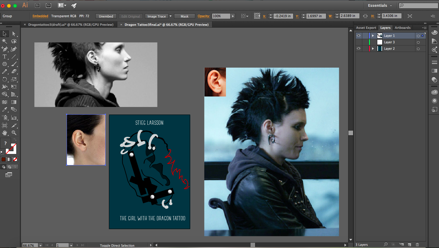 The Girl With The Dragon Tattoo - Stieg Larsson - image 13 - student project