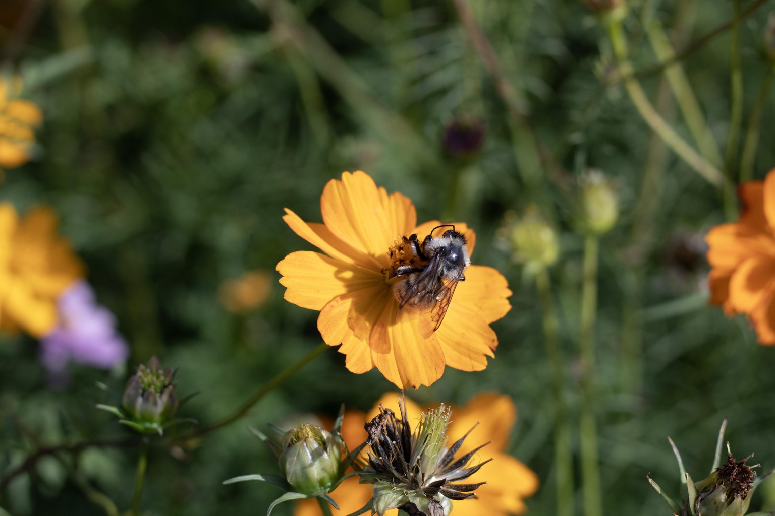 lightroom 4 beginners - image 1 - student project