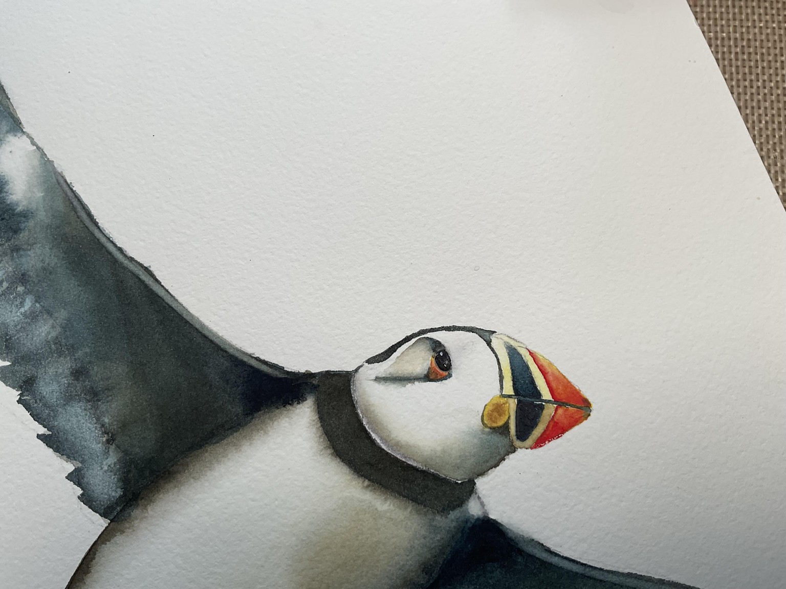 Flying puffin-changed the eye. - image 2 - student project