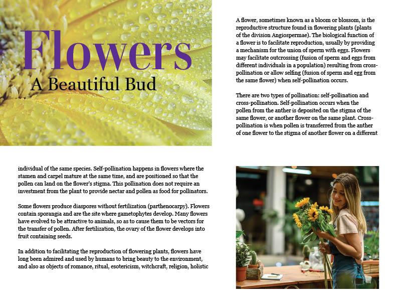 Hierarchy, Layout, and Typography Practice - image 3 - student project