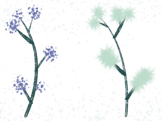 Botanical Dream - image 7 - student project