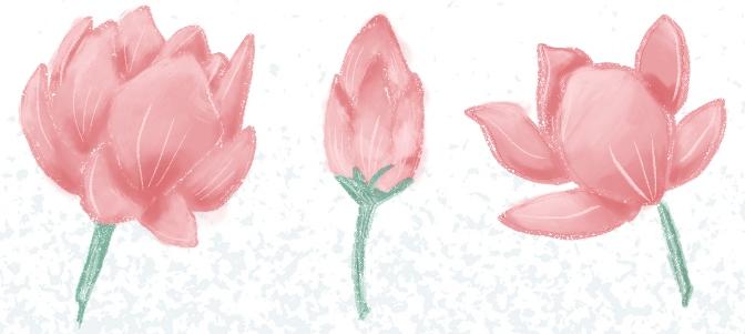 Botanical Dream - image 10 - student project