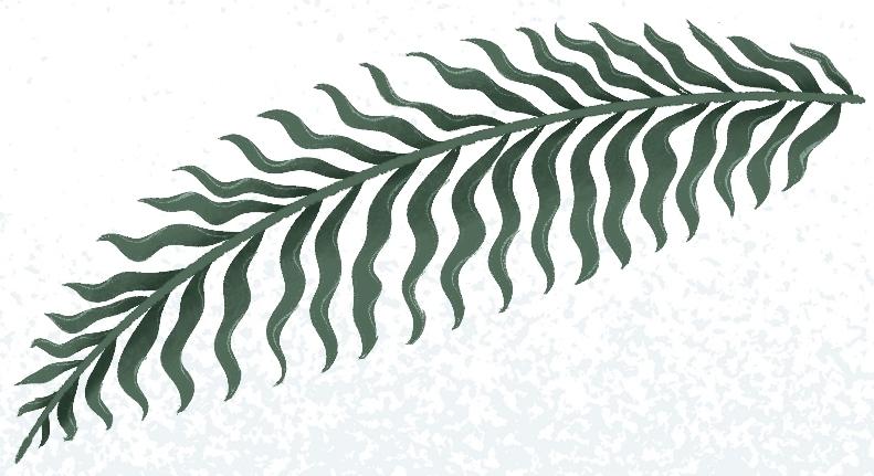 Botanical Dream - image 2 - student project