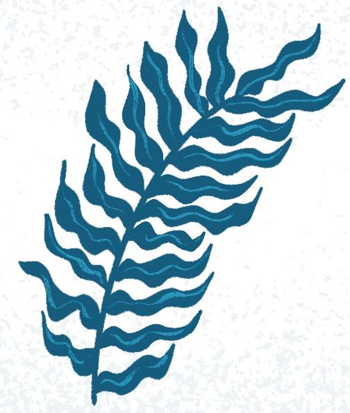 Botanical Dream - image 1 - student project