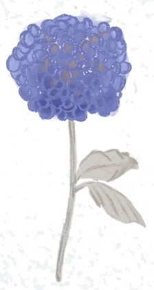 Botanical Dream - image 9 - student project