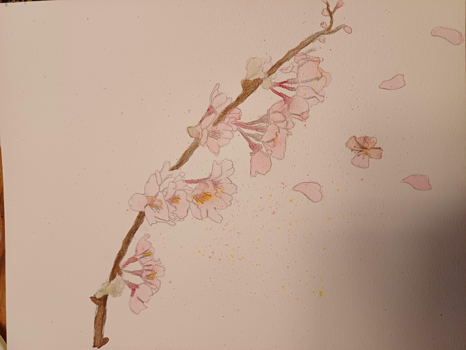 Cherry Blossom - image 1 - student project