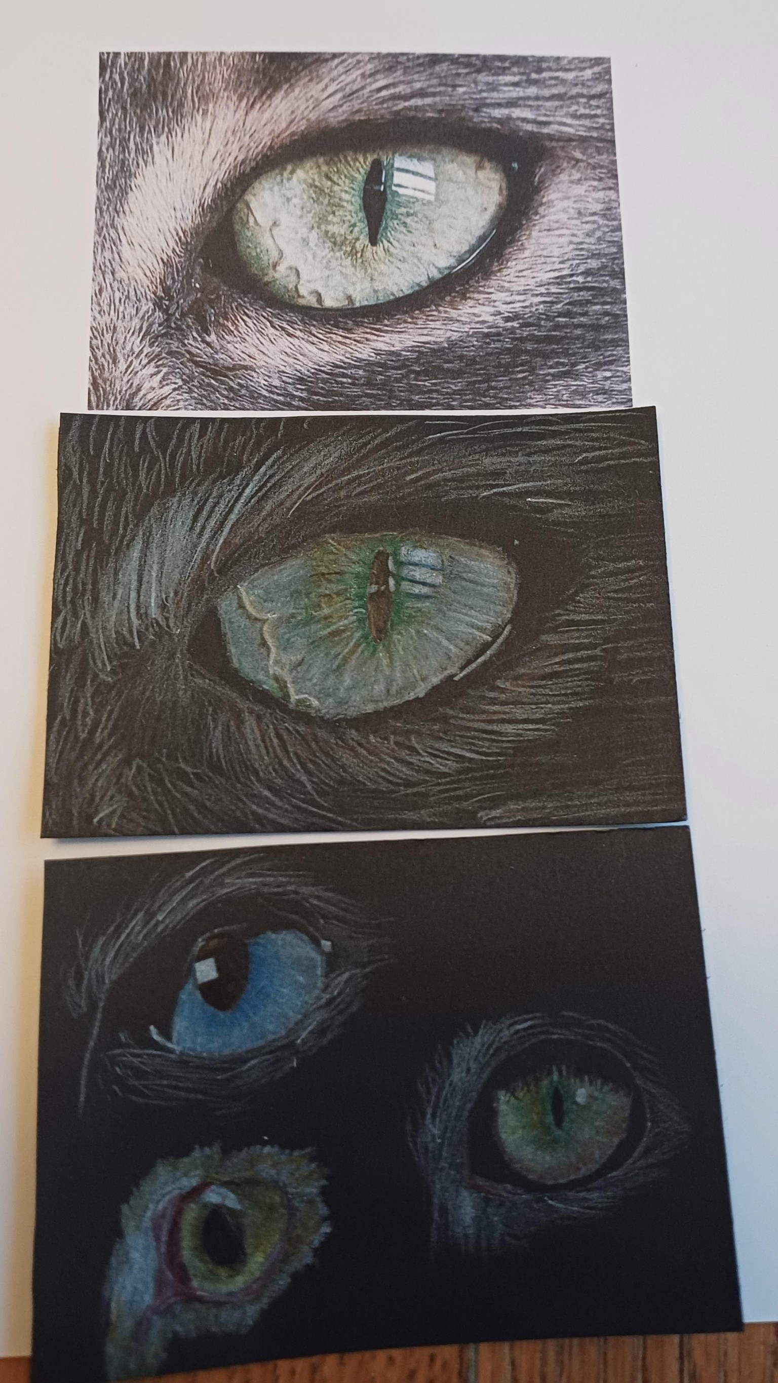 Cats eye - image 1 - student project