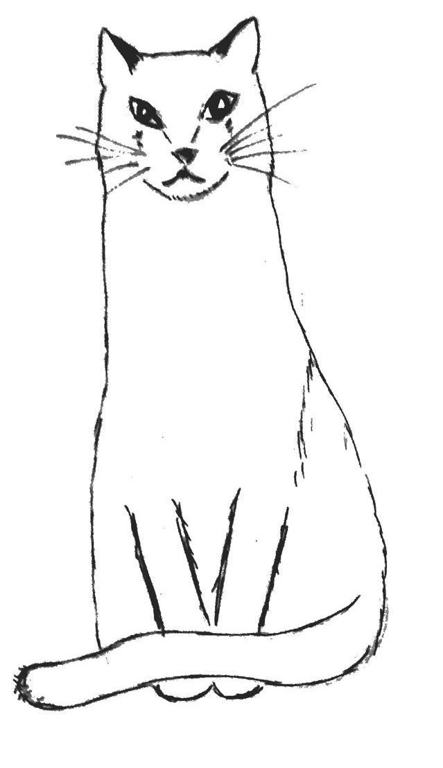 Ginger Tom - image 1 - student project