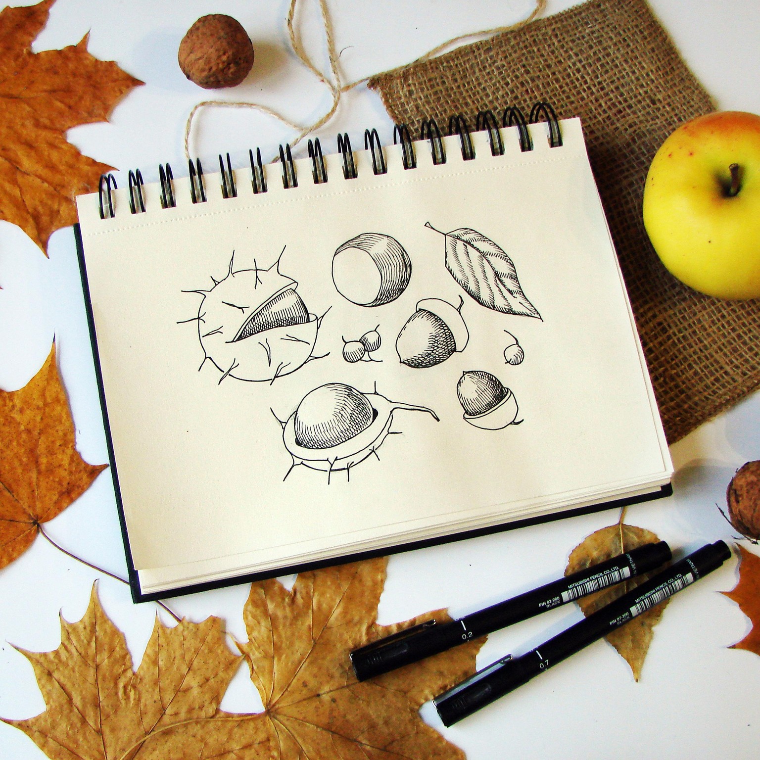 November Challenge - image 21 - student project