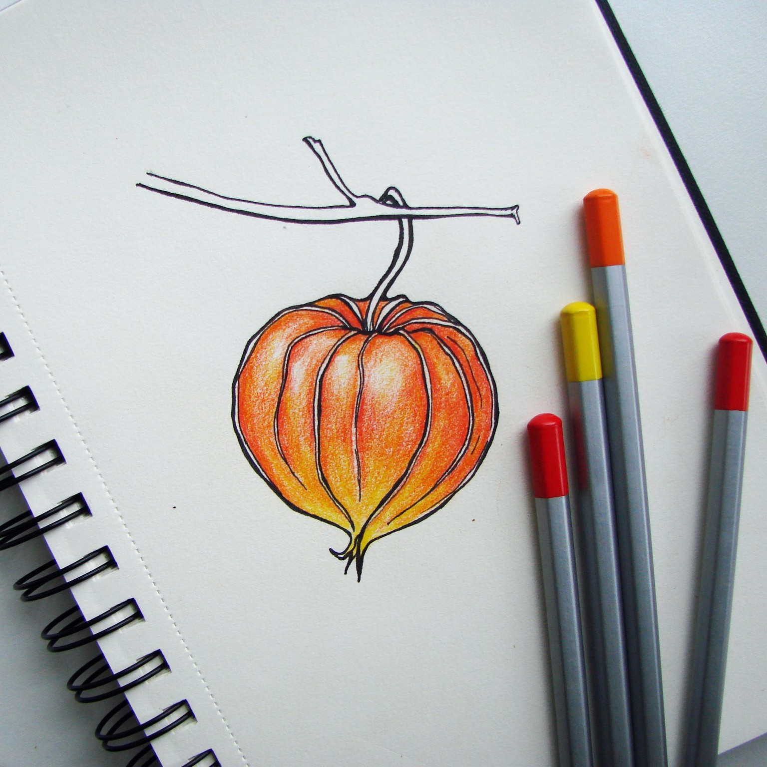 November Challenge - image 32 - student project