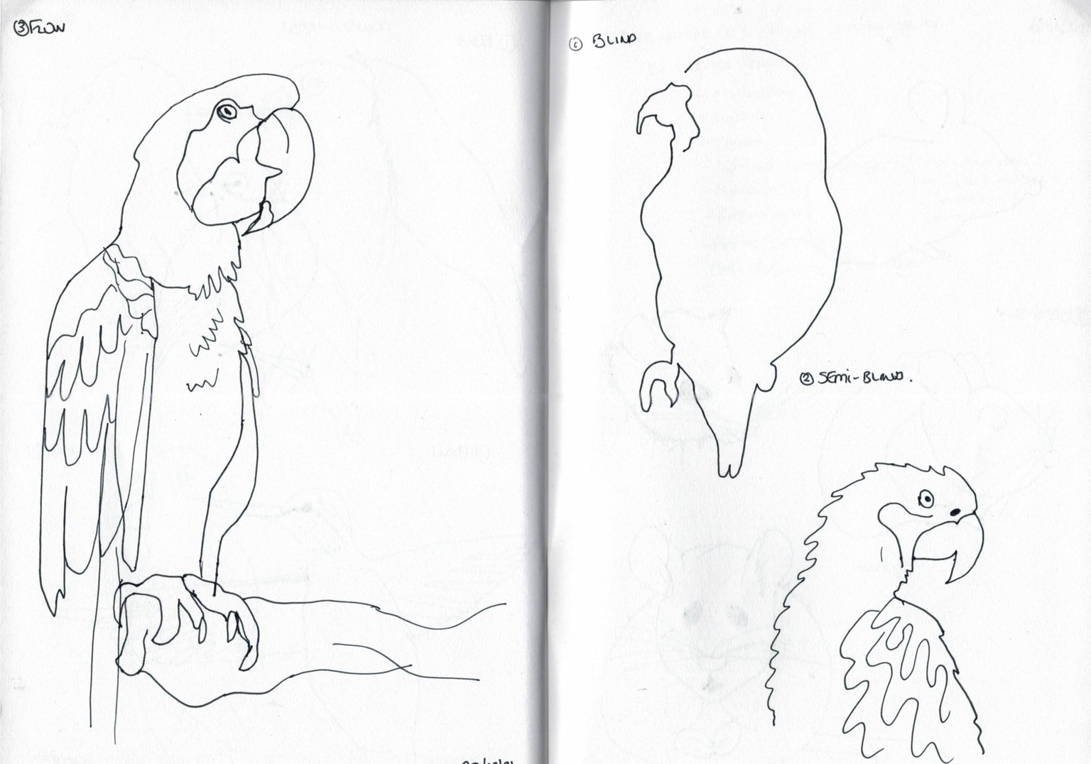 Blind contour drawing - image 14 - student project
