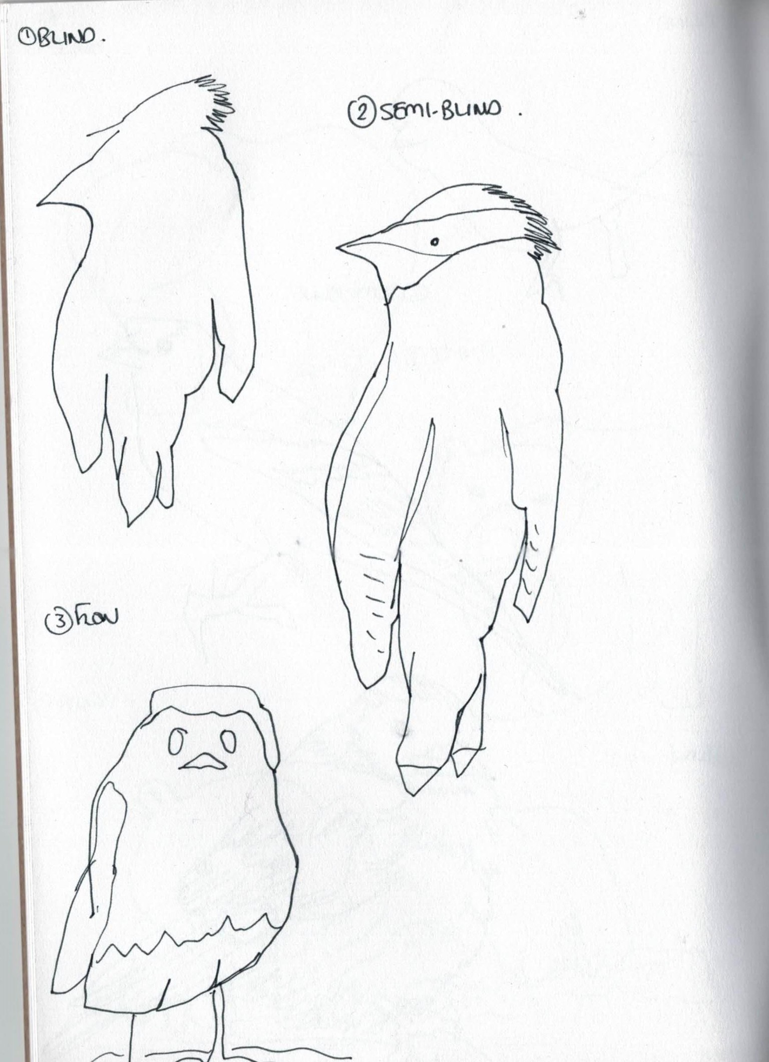 Blind contour drawing - image 22 - student project