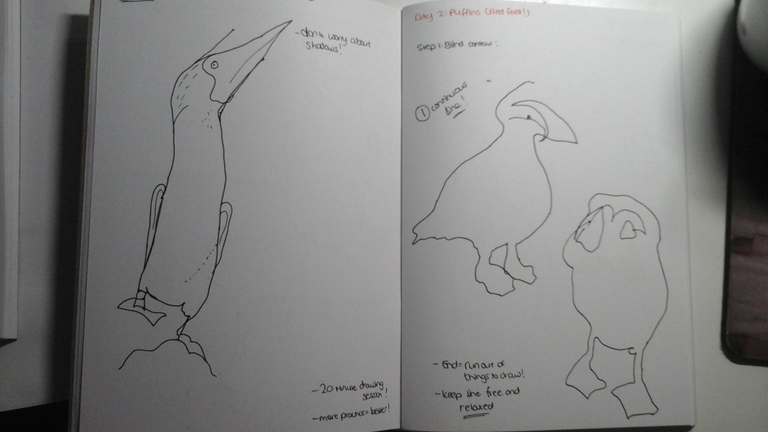 Blind contour drawing - image 2 - student project