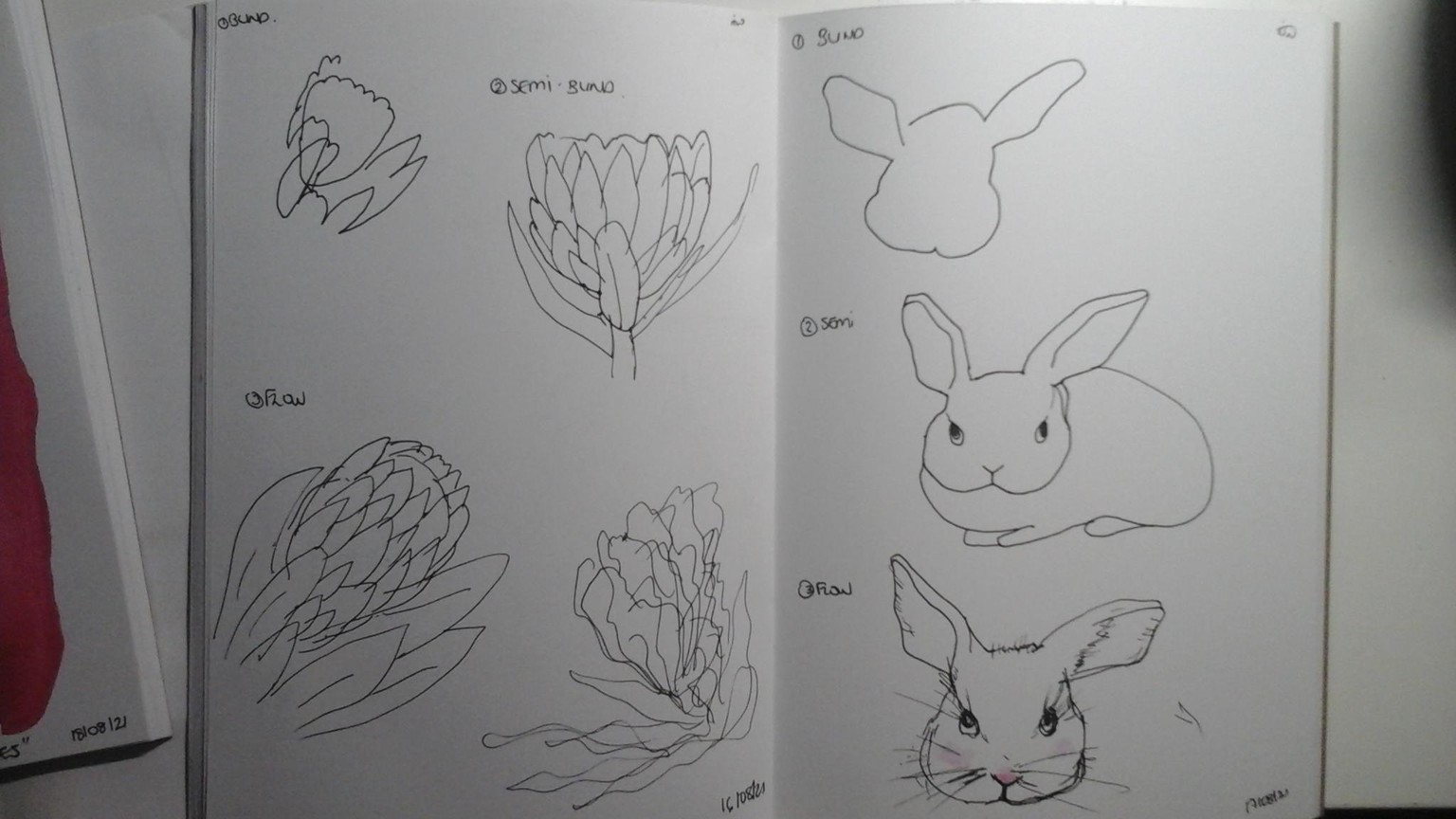 Blind contour drawing - image 11 - student project