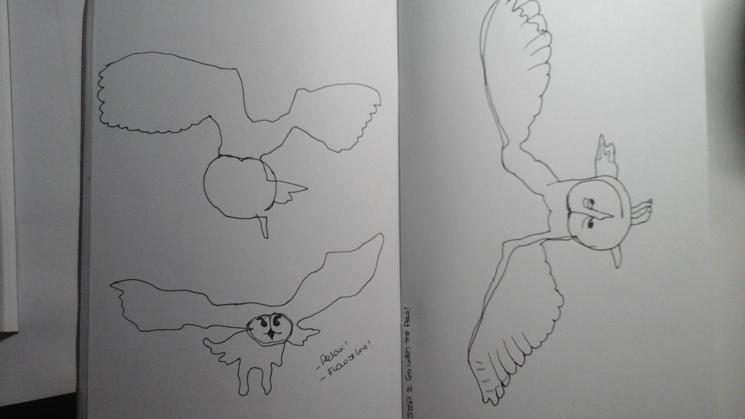 Blind contour drawing - image 8 - student project
