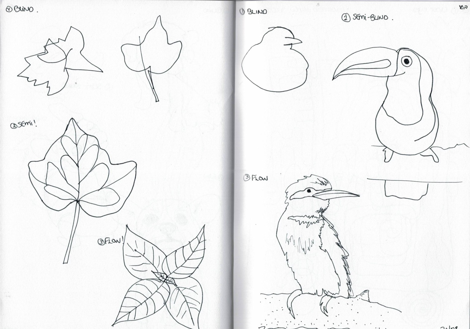 Blind contour drawing - image 16 - student project
