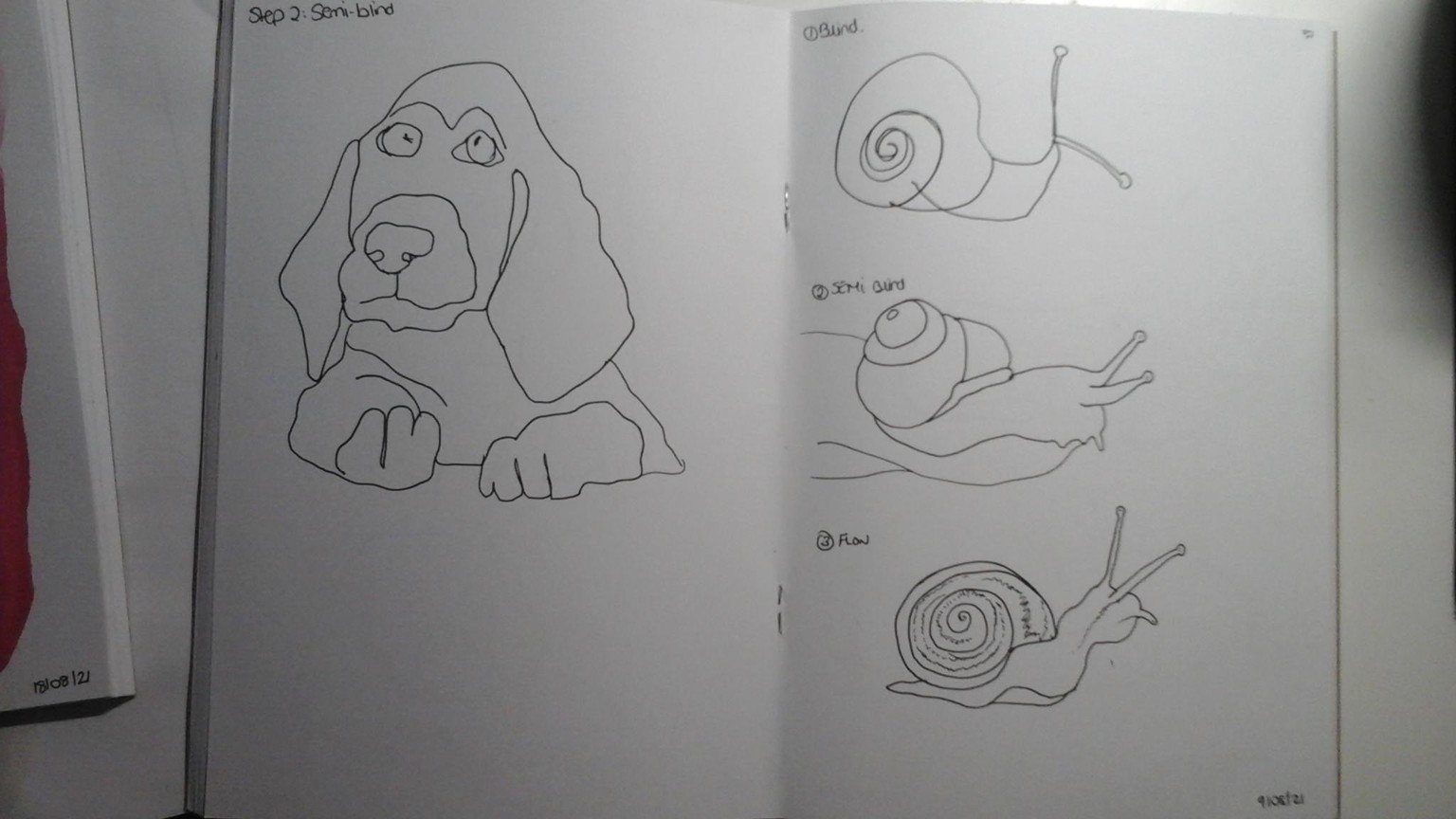 Blind contour drawing - image 9 - student project