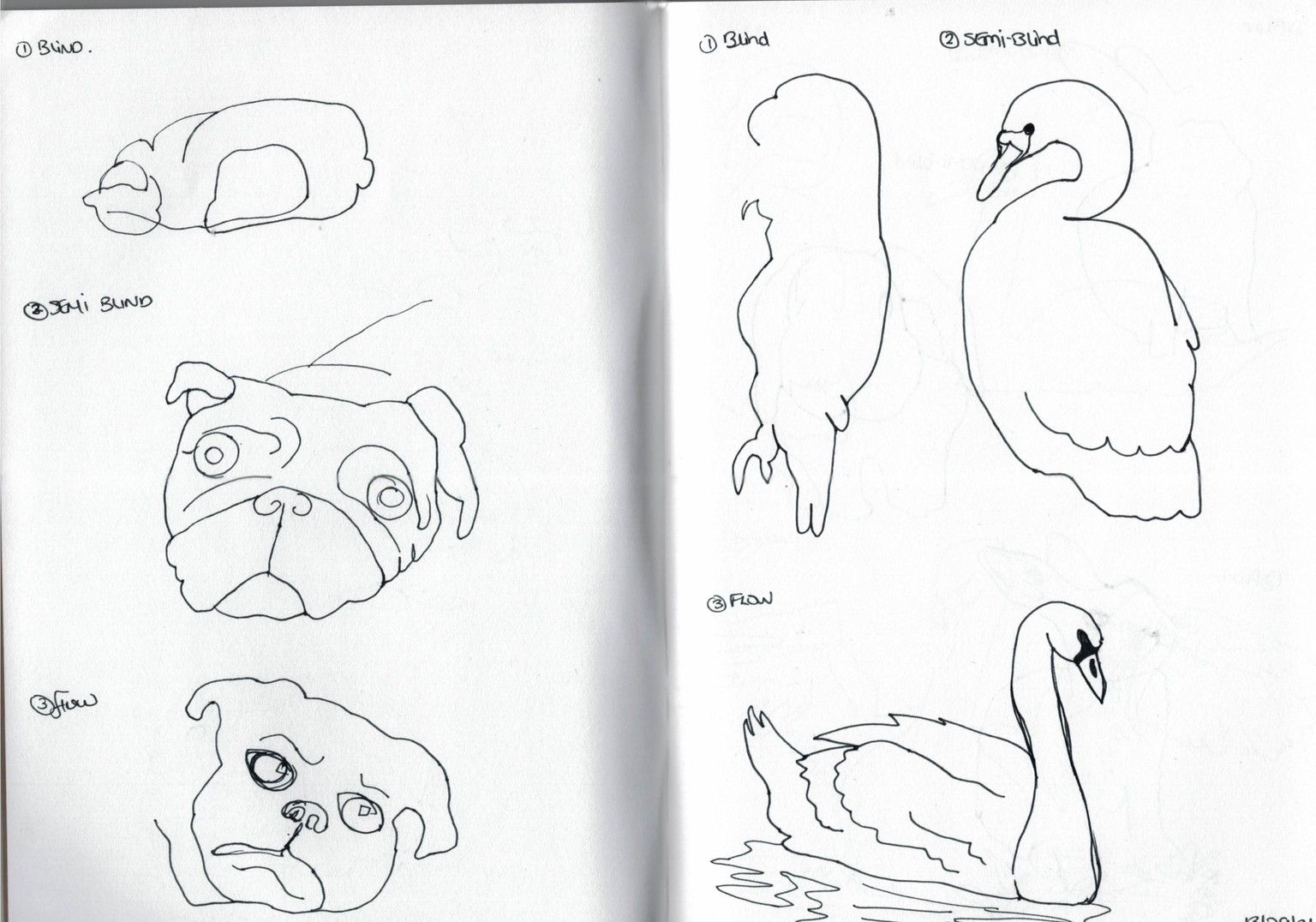 Blind contour drawing - image 19 - student project