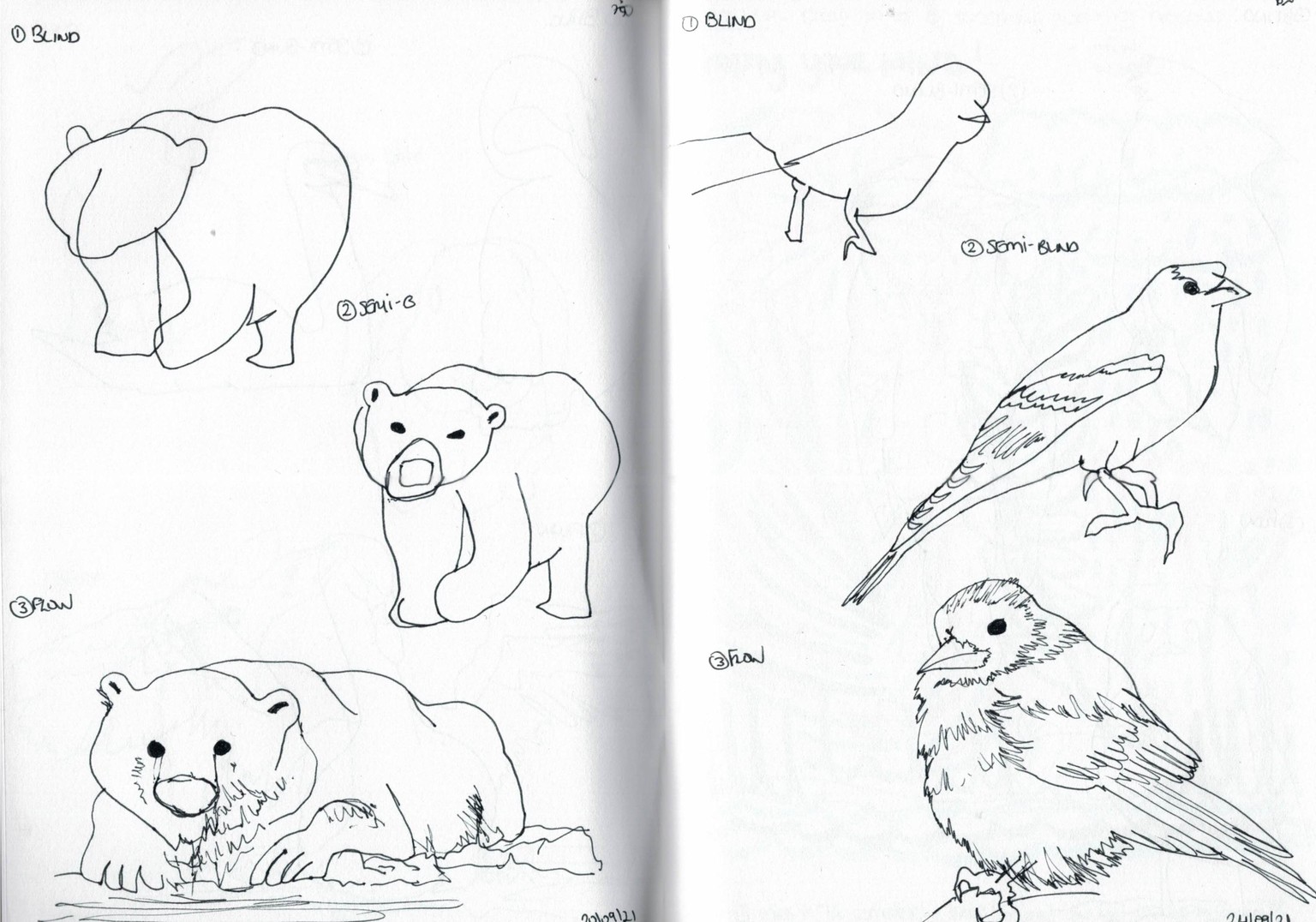 Blind contour drawing - image 21 - student project