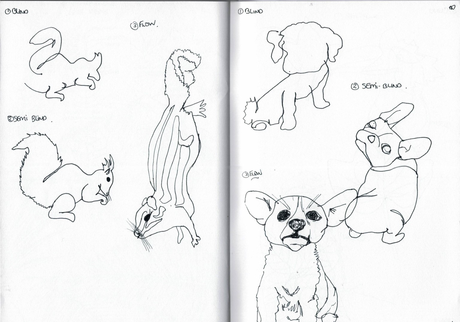 Blind contour drawing - image 17 - student project