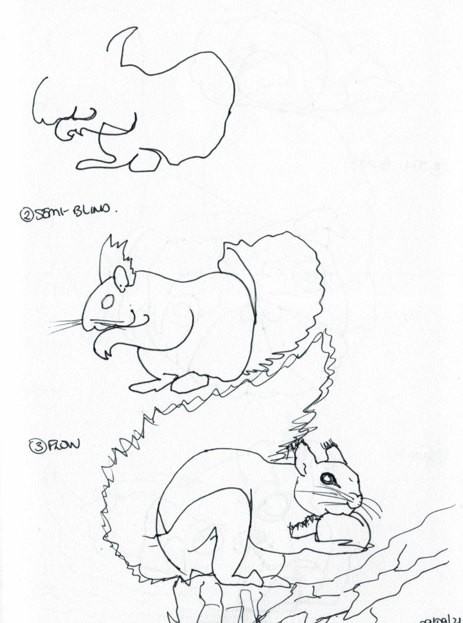 Blind contour drawing - image 18 - student project