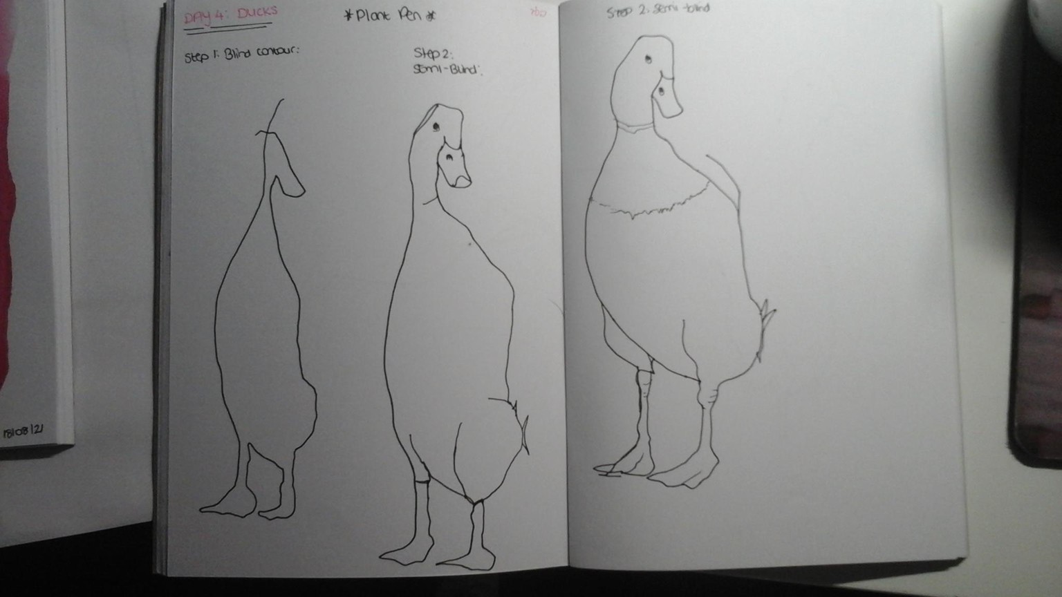 Blind contour drawing - image 6 - student project