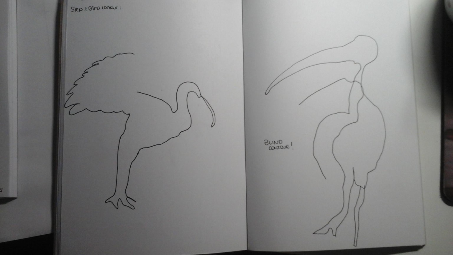 Blind contour drawing - image 4 - student project