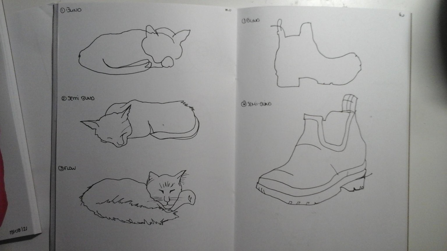 Blind contour drawing - image 10 - student project