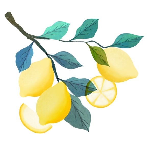 Lemons - image 3 - student project