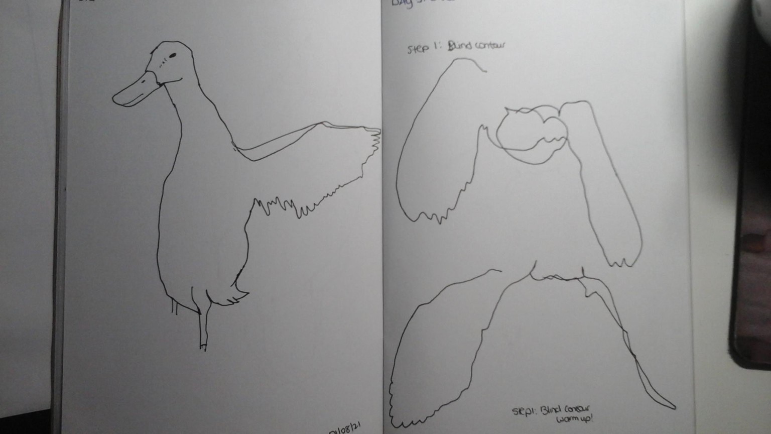 Blind contour drawing - image 7 - student project