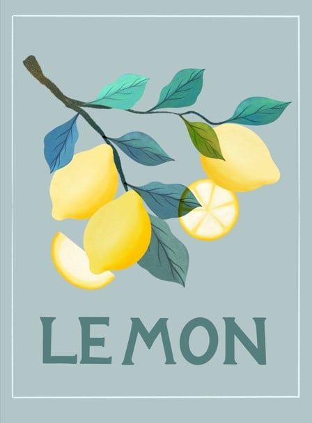 Lemons - image 4 - student project
