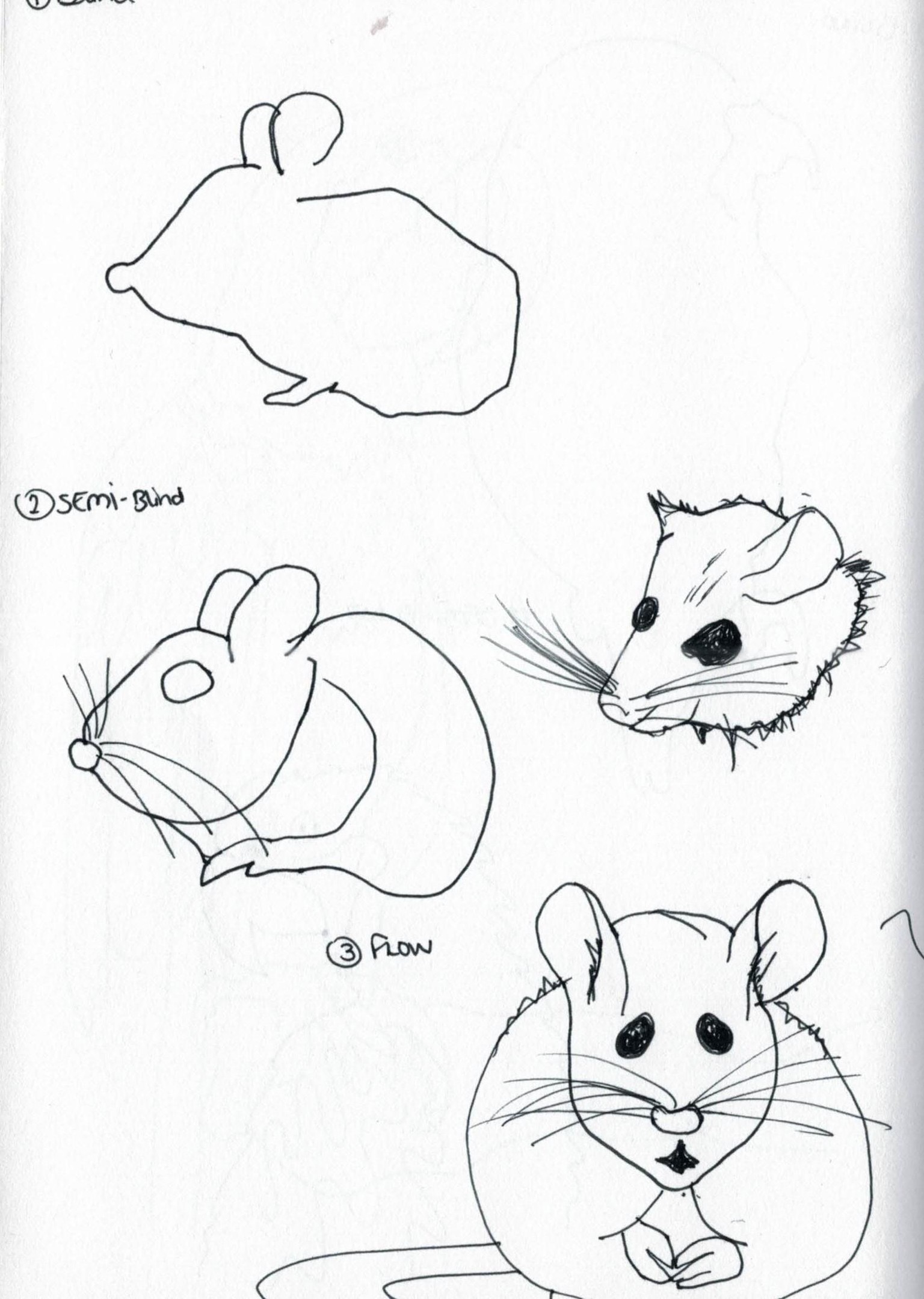 Blind contour drawing - image 13 - student project