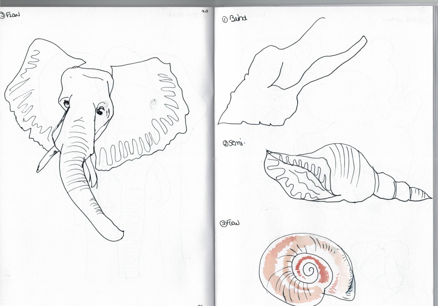 Blind contour drawing - image 15 - student project