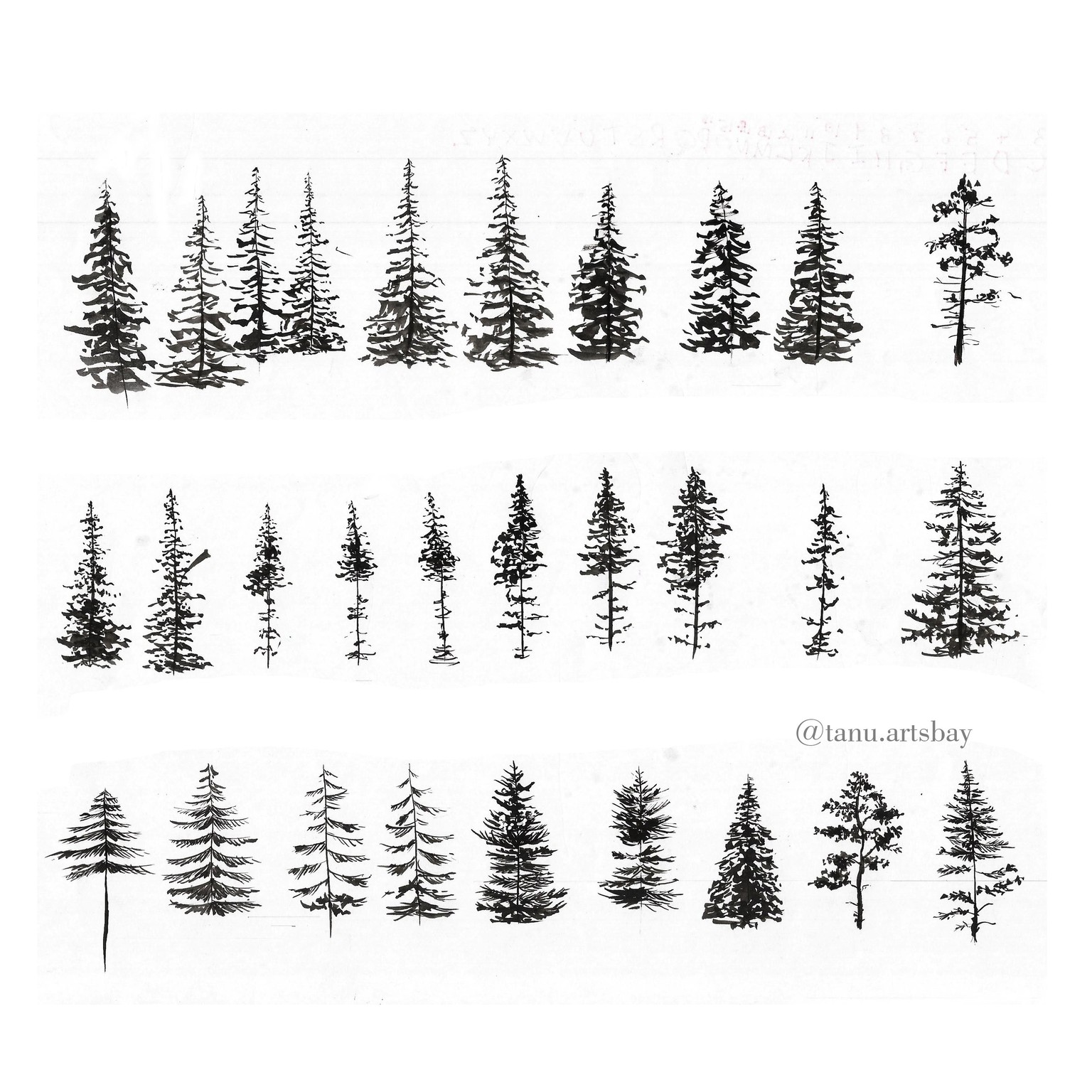 Pine trees !! - image 5 - student project