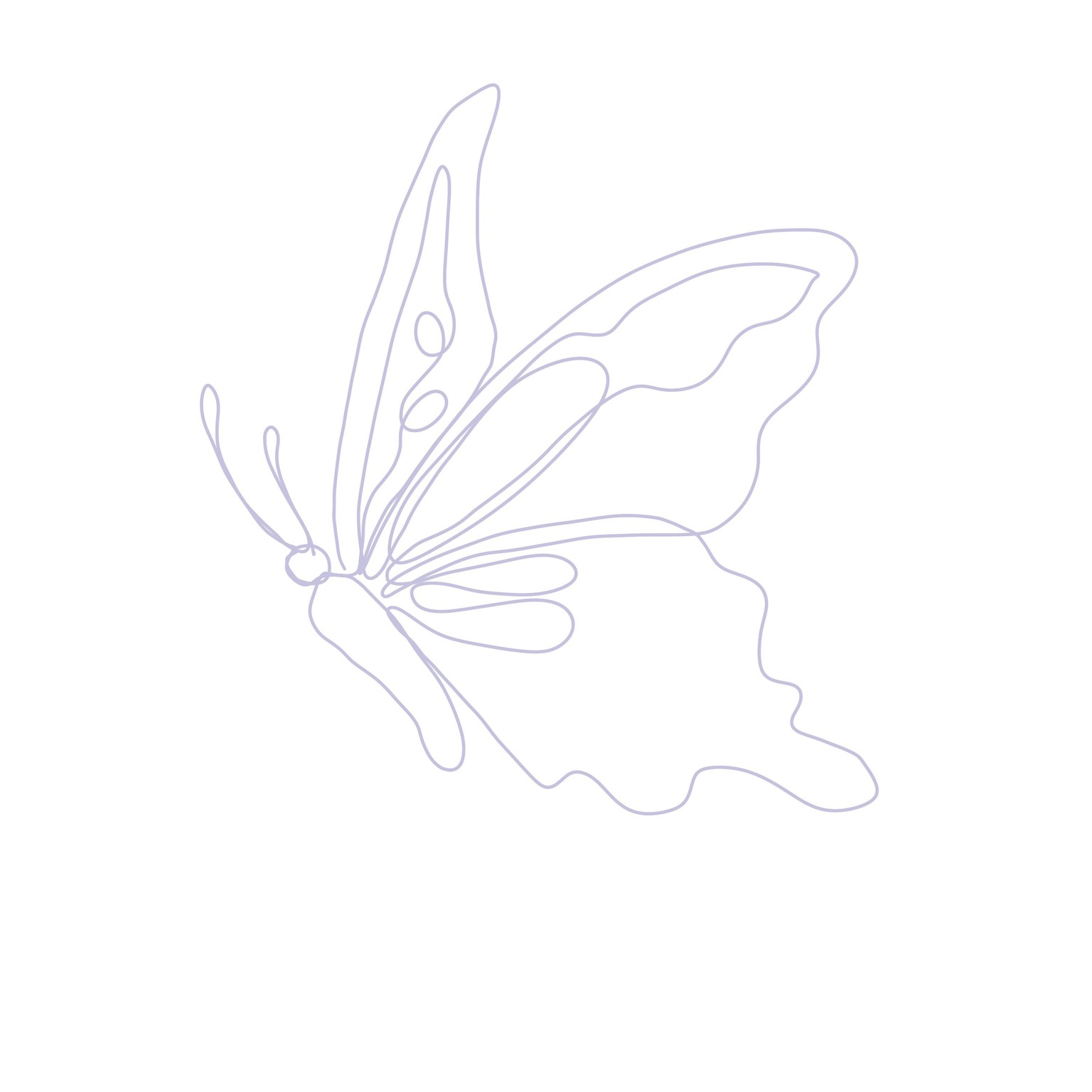Line Drawings - image 1 - student project