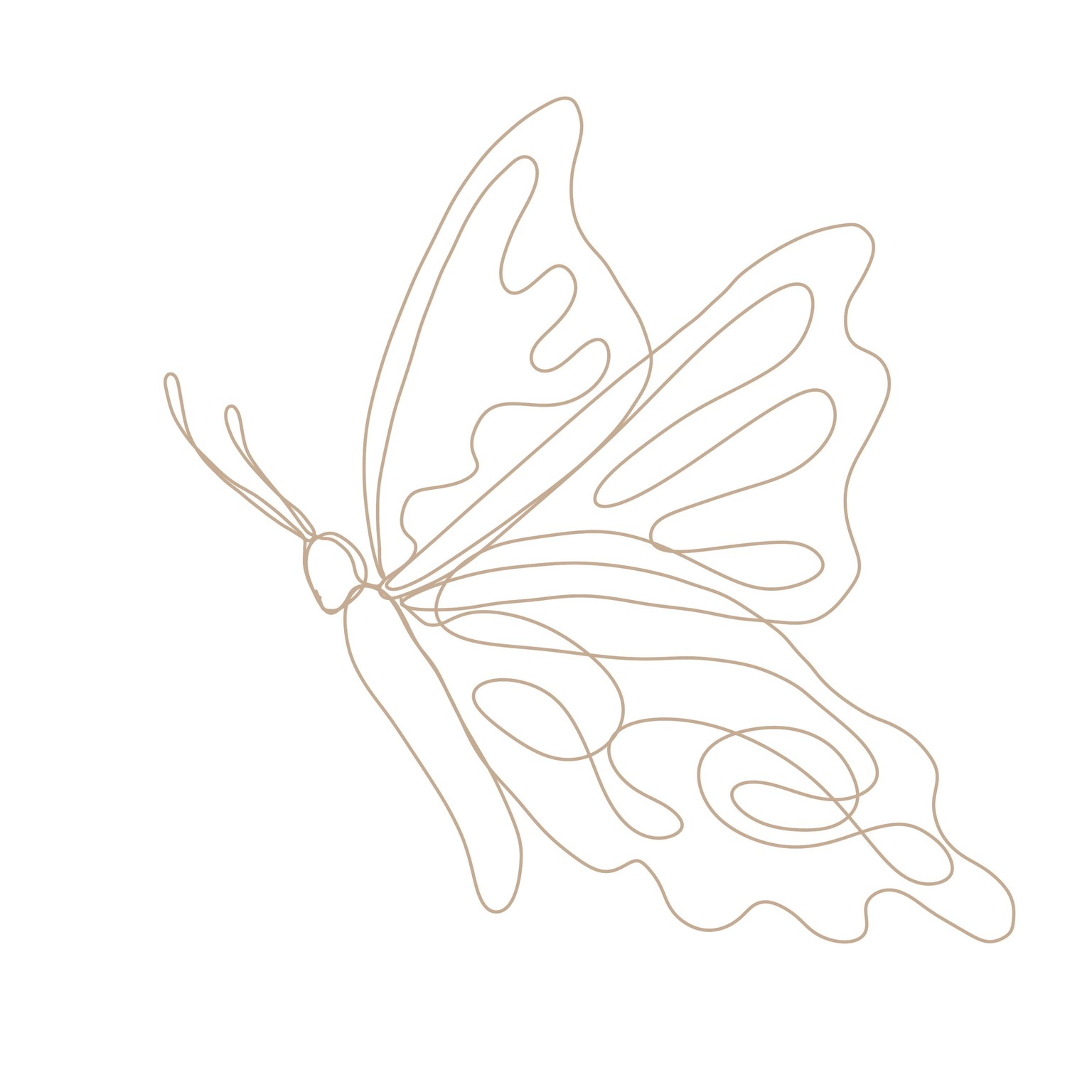 Line Drawings - image 2 - student project