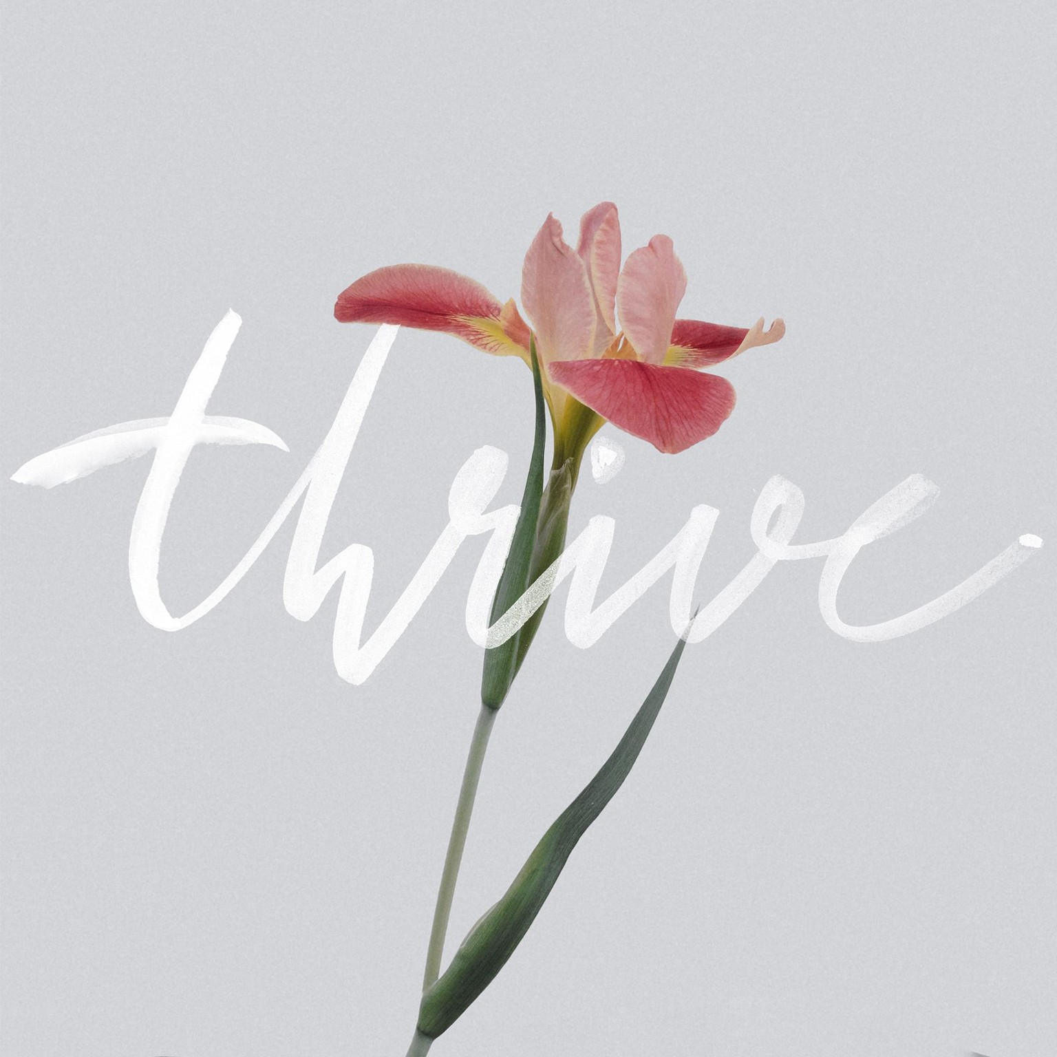My first lettering - image 1 - student project