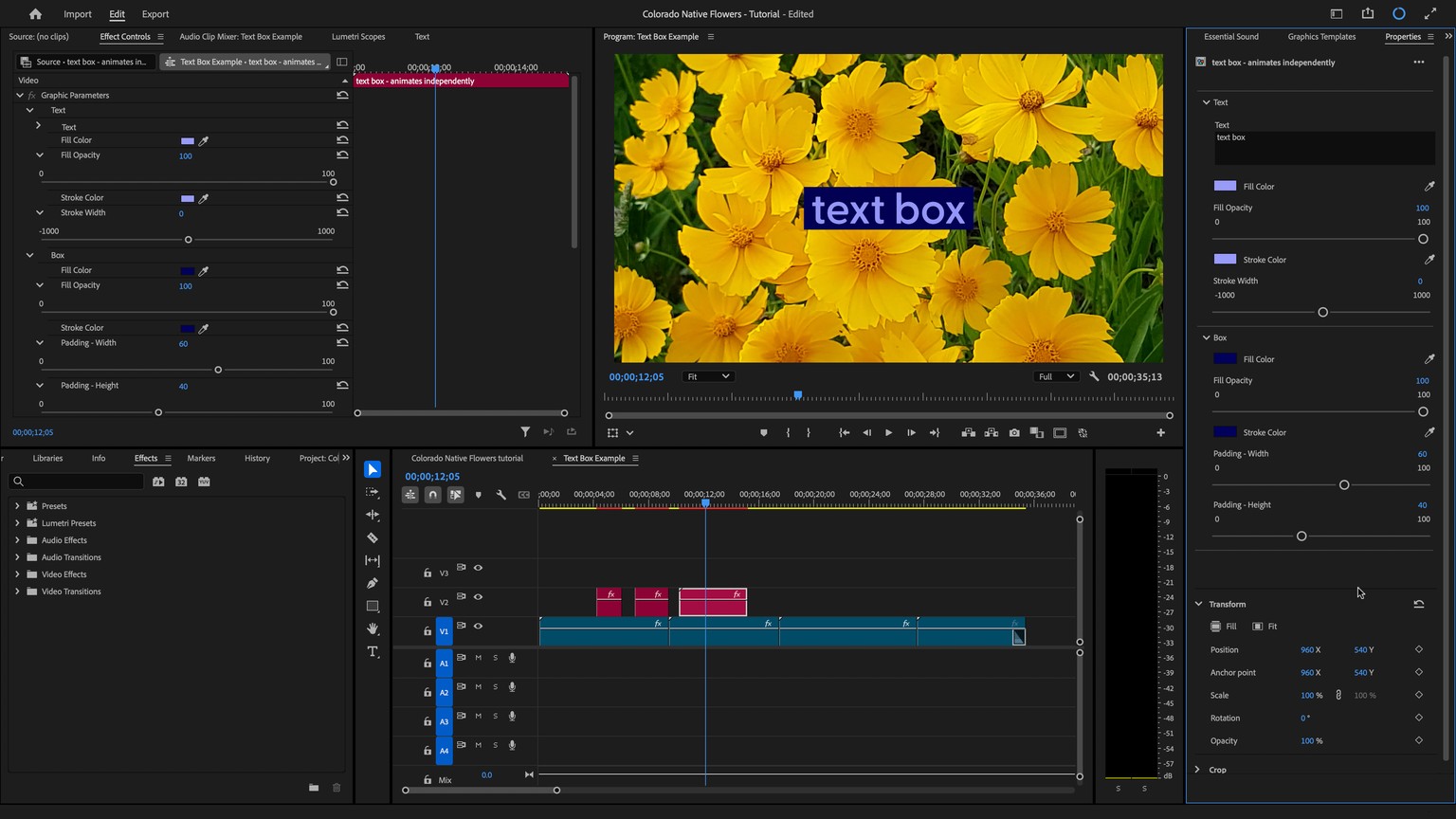 Example Project: Auto-Resizing Text Box - image 4 - student project