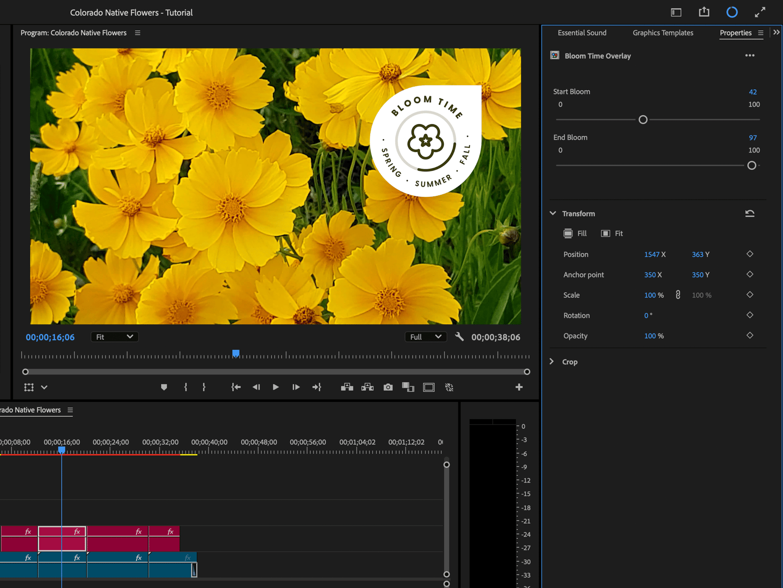 Example Project: Native Flowers of Colorado - image 3 - student project