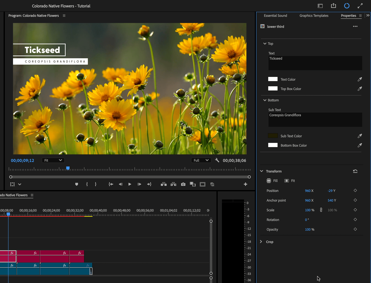 Example Project: Native Flowers of Colorado - image 2 - student project