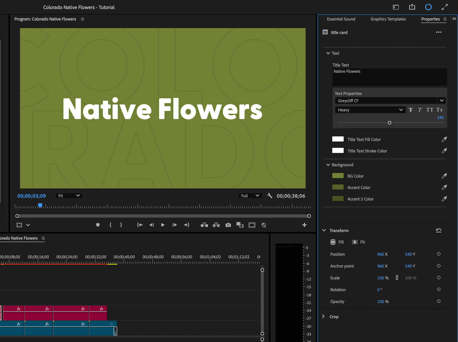 Example Project: Native Flowers of Colorado - image 1 - student project